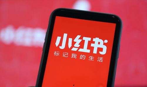 宜兴小红书爆料事件最新,揭秘背后真相与网络舆论风暴